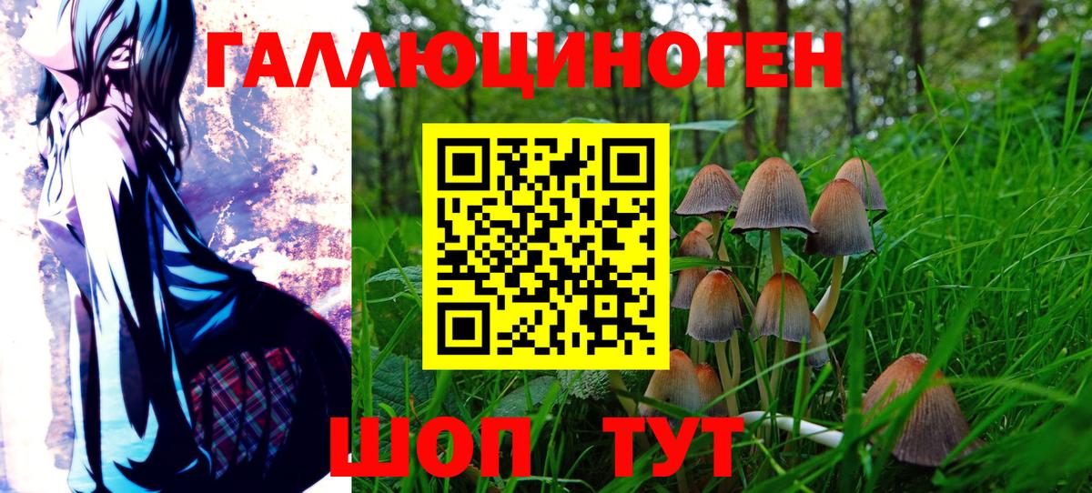 Псилоцибиновые грибы ЛСД  Вход с VPN  Псилоцибиновые грибы Magic Shrooms  Зеленокумск 