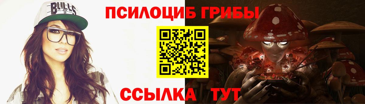 Псилоцибиновые грибы Psilocybe Зеленокумск