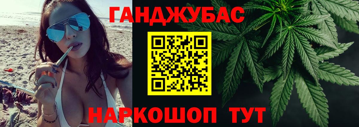 Конопля гибрид Зеленокумск